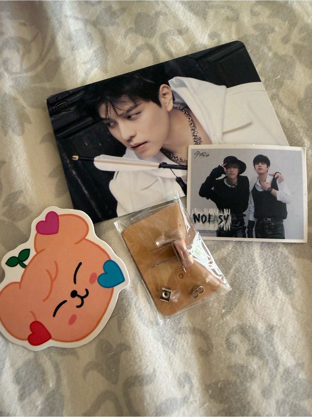K-Pop Photocard Seungmin Sticker Set with Pink Puppy Earring Studs